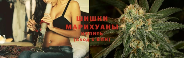 гашиш Богданович
