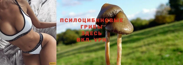 амф Беломорск