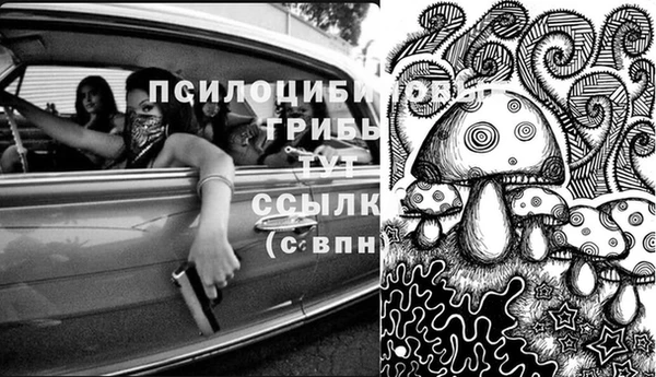 амф Инсар