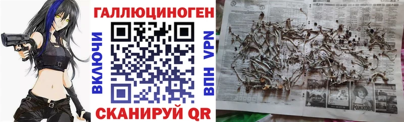 Галлюциногенные грибы Magic Shrooms  продажа наркотиков  Плёс 